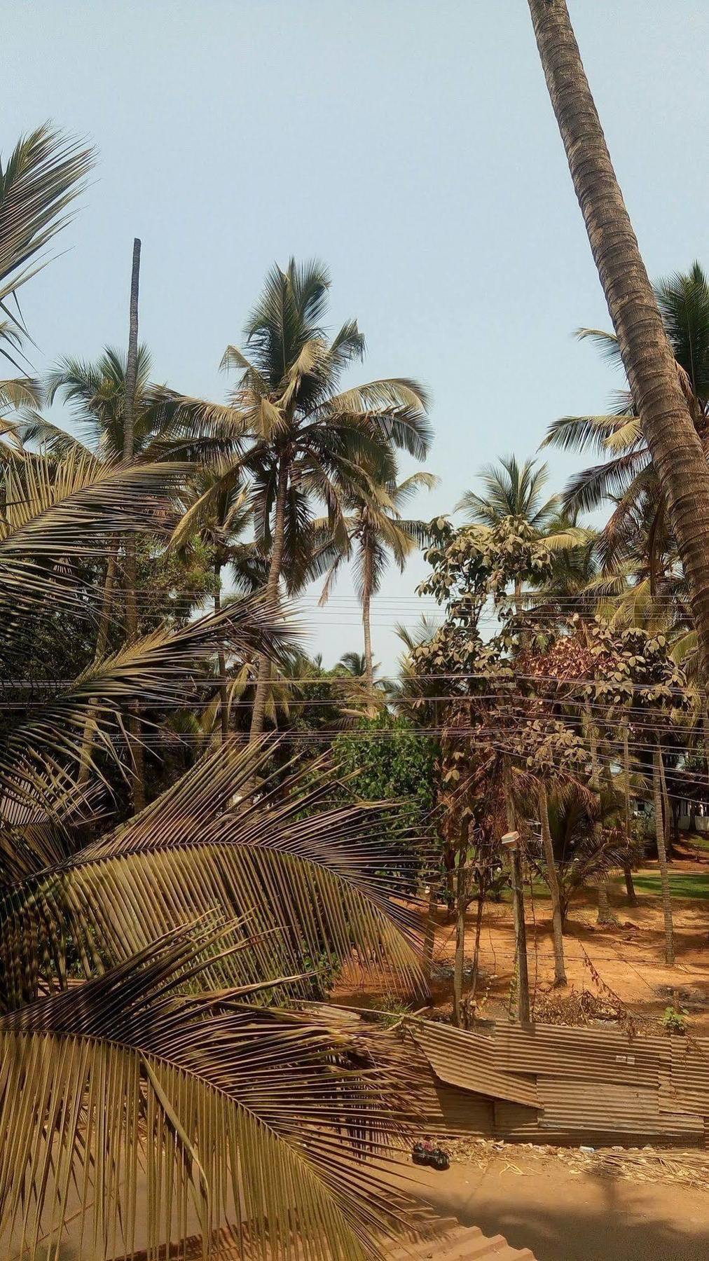 Hotel Shiva Ashvem Ashvem Beach Exterior photo